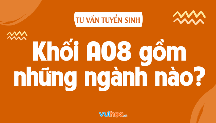 Khối A08: Cơ Hội Học Tập và Nghề Nghiệp