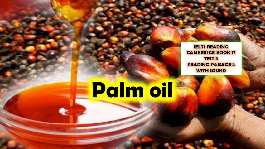 Phân Tích Đáp Án Câu Hỏi 3 của bài đọc  Palm Oil ở sách Cambridge IELTS 17, Test 3, Reading Passage 2