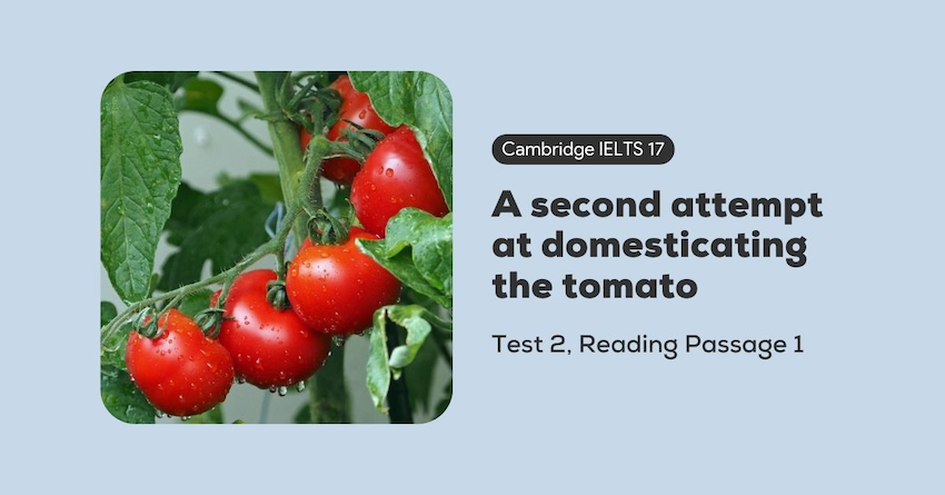 Phân tích đáp án của Cambridge 17, Test 2, Reading Passage 2, với tựa đề "A Second Attempt at Domesticating the Tomato"